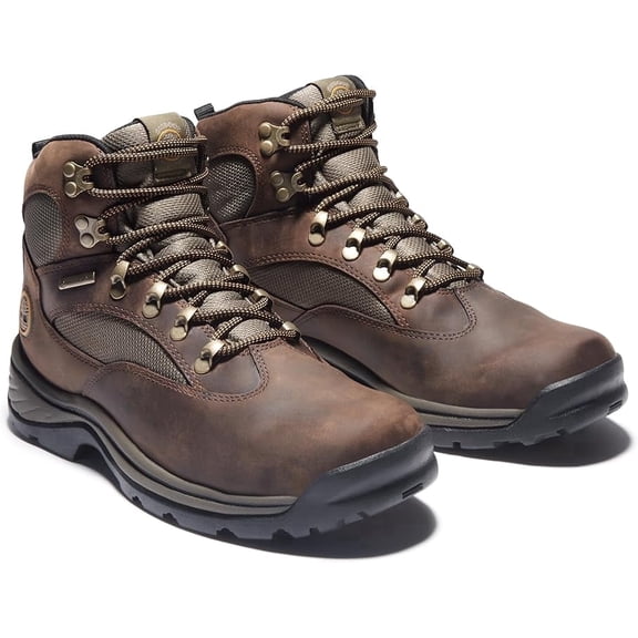 Men's Timberland Chocorua Trail Waterproof Hiking Boot