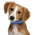 thumbnail image 5 of Small Dog Collar For Female Dogs, Bling Puppy Collar Faux Leather Fancy Diamond Crystal Glitter Pretty Jewel Rhinestone Cat Collars For XXS XS Small Medium Large Pet Girl Dogs,, 5 of 5