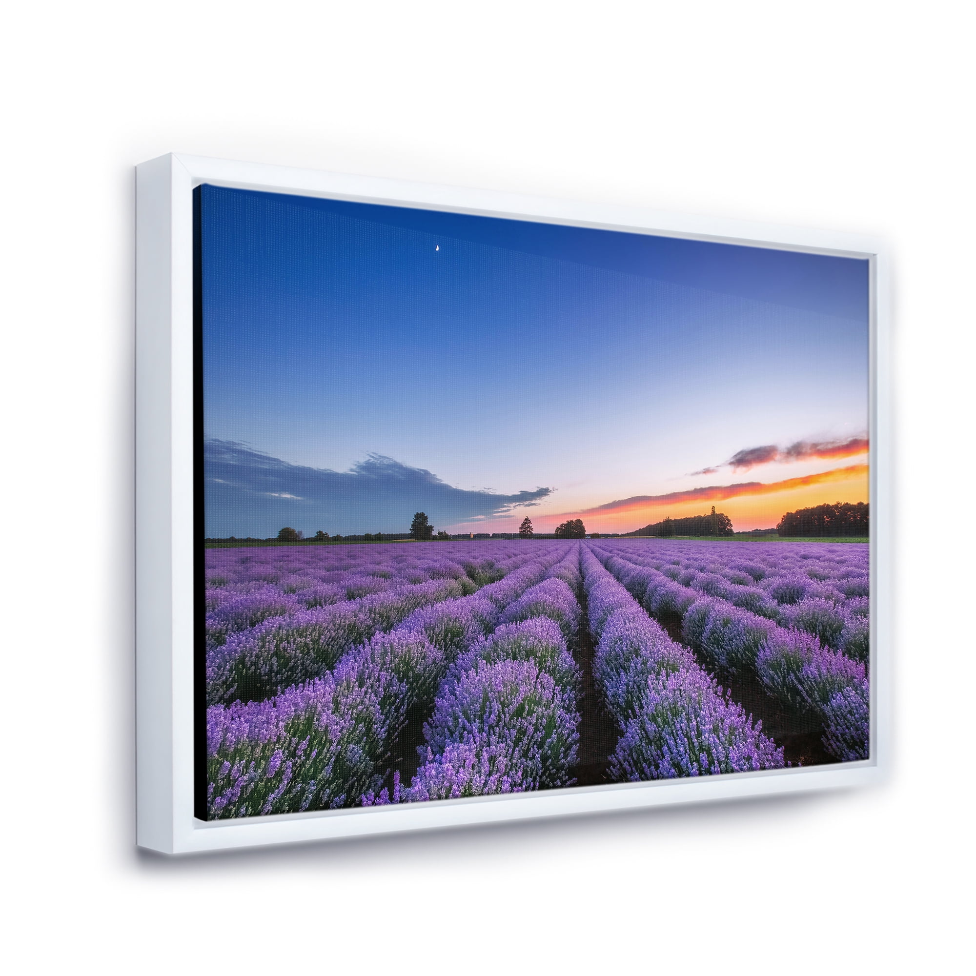 Designart 'Dramatic Clouds and Sunrise Over Lavender Field I' Farmhouse Framed Canvas Wall Art Print
