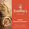 thumbnail image 5 of Findlay's Organics Soft White Wheat Berries // Michigan Grown, USDA Organic Certified, Non-GMO, 25 Lbs, 5 of 5