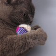 thumbnail image 4 of Bola de Sisal de juguete para gatos de 4 Uds., bola interactiva para rascar mascotas, bolas de juguete para gatitos respetuosas con el medio ambiente, Color aleatorio oso de fresa Electrónica, 4 of 4