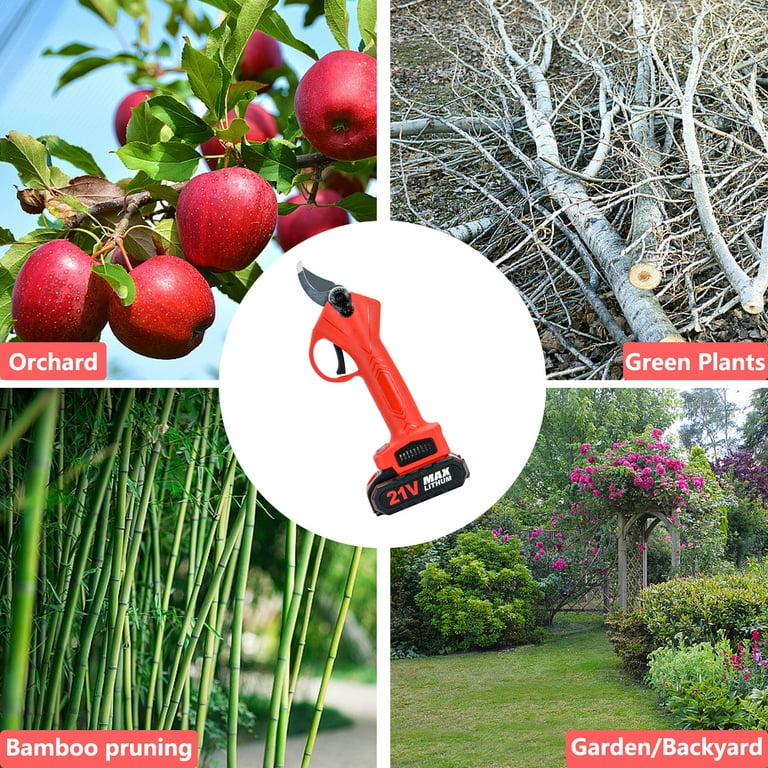 Battery-Powered Pruning Tools for Jobs Big and Small - FineGardening