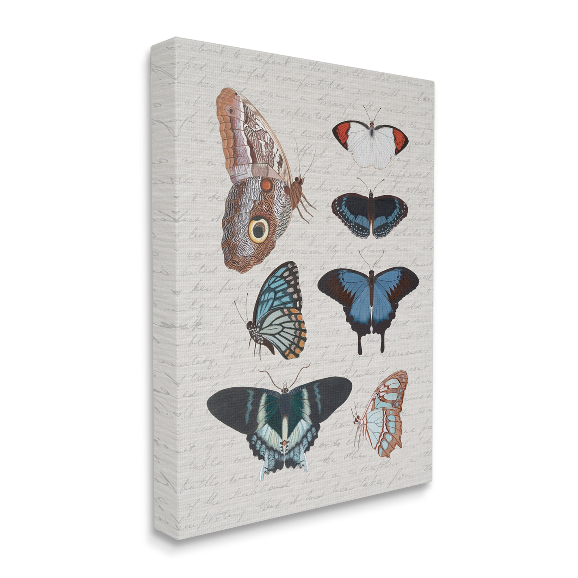 Stupell Industries Various Vintage Butterflies Animals & Insects Painting Gallery Wrapped Canvas Art Print Wall Art, 36 x 48
