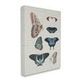 thumbnail image 4 of Stupell Industries Various Vintage Butterflies Animals & Insects Painting Gallery Wrapped Canvas Art Print Wall Art, 30 x 40, 4 of 8