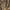 BROWN, variant on Men's Mossy Oak® Break Up Country™ Woody Max Boot