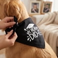 thumbnail image 5 of Graduation Dog Bandana, Funny "My Mommy Did It" & "It Was Ruff, But We Did It" Pet Bib Scarf for Class of 2026 Ceremony, Adjustable Triangle Neck Tie for Photo Props A, 5 of 7