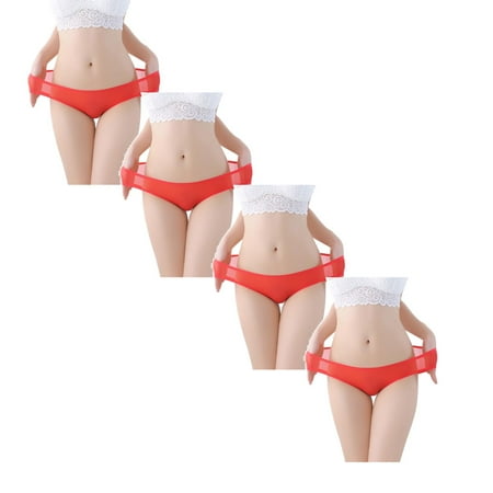

Womens Underwear Brief Low Waist Sheer Mesh Cute Seamless Panties4PC