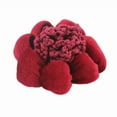 thumbnail image 4 of New Dance Skating Lace Velet Edge Hair Nets Bun Cover Ballet Crochet Snood Updo Styling Tool COFFEE, 4 of 8
