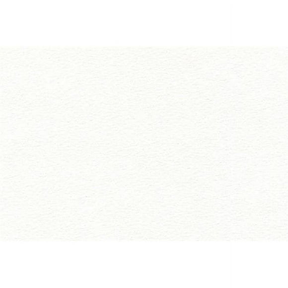Canson C100511140 12 x 18 in. Watercolor Cold Press Lightweight - Pack of 100 Sheet