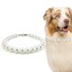 thumbnail image 1 of Collar para perros KUDES Chunky Pearl para perros medianos y grandes, 1 of 5