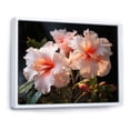thumbnail image 2 of Designart "Hibiscus love expression I" Floral Floater Framed Canvas Wall Art, 2 of 7