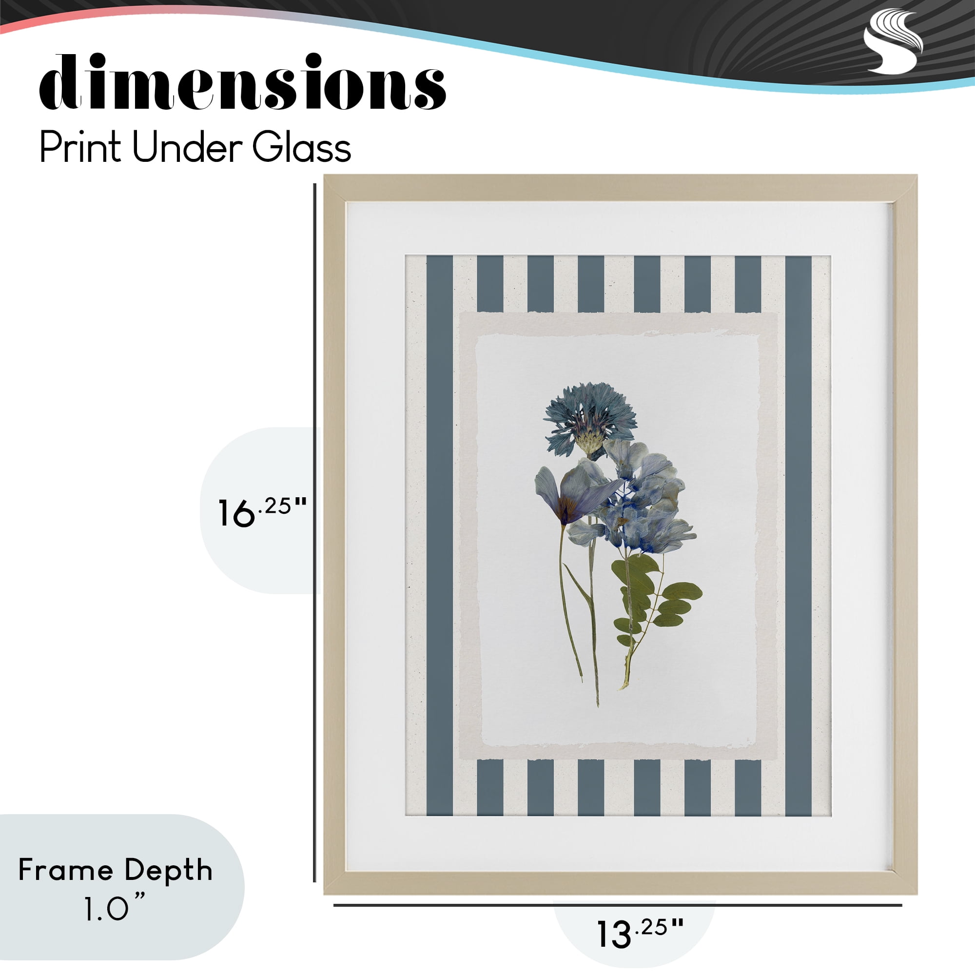 Stupell Industries Summer Memory Flowers Birch Framed Print Under Glass, design by Val Rhodes