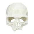 thumbnail image 2 of Cififendec Halloween Aquarium Skull Ornament, 3.93"×3.46", Plastic Hideout Cave for Fish Tank Reptile Terrarium Turtle Lizard Shrimp Hiding Decor, 2 of 6