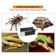 thumbnail image 3 of Criadora de mascotas, estera térmica para mascotas, estera térmica para reptiles, estera térmica para mascotas, diseño exquisito, 3 of 8
