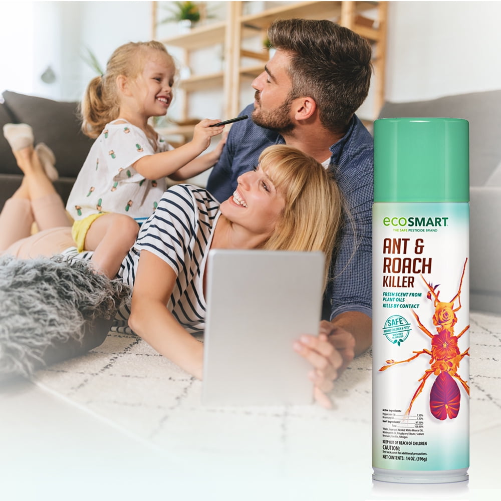 EcoSmart Natural, Plant-Based Ant and Roach Killer, 14 Ounce Aerosol Spray Can (Pack of 2)