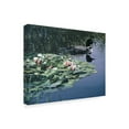 thumbnail image 2 of Trademark Fine Art 'Loon And Lilies' Canvas Art by Ron Parker, 2 of 3