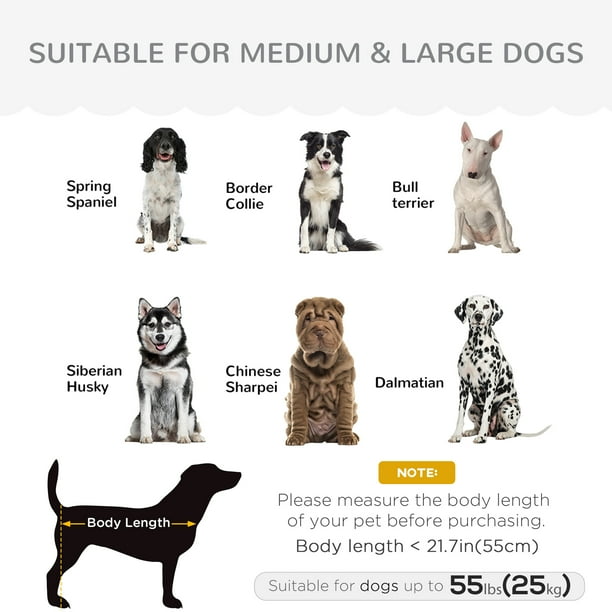 Large breed dog couch outlet
