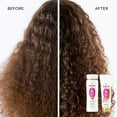 thumbnail image 6 of Pantene Pro-V Shampoo, Curl Perfection, 10.4 fl oz, 6 of 11