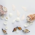 thumbnail image 2 of 100pcs blanco mini conchas de concha de mar artesanía boda jardín acuario decoración, 2 of 5