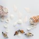 thumbnail image 2 of 100pcs blanco mini conchas de concha de mar artesanía boda jardín acuario decoración, 2 of 5