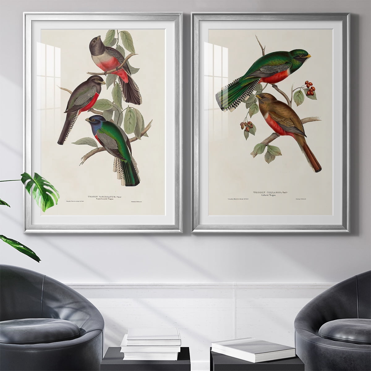 Wexford Home Elegant Trogons V Premium Framed Print, 18.5" x 24.5" - Ready to Hang, Silver (Set of 2)