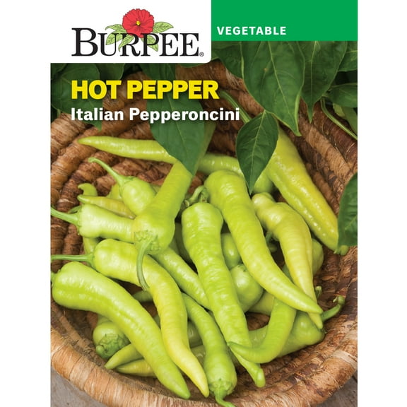 Burpee Italian Pepperoncini Hot Pepper Vegetable Seed, 1-Pack
