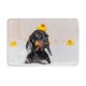 thumbnail image 1 of Balery Dachshund Sitting in Bathtub Felpudo de franela, resistente a las manchas y a la decoloración, para uso interior y exterior, fácil de limpiar, 40 x 60 cm, 1 of 7