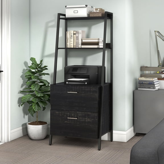 Frost 2-Drawer and 2-Shelf Wood File Cabinet, Reclaimed Black Oak