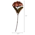 thumbnail image 4 of My Texas House Fall Faux Hydrangea Stem, Brown, 20", 4 of 4