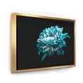 thumbnail image 3 of Close Up Of White and Pure Blue Daisy Flower II 40 in x 30 in Framed Photography Canvas Art Print, by Designart, 3 of 5
