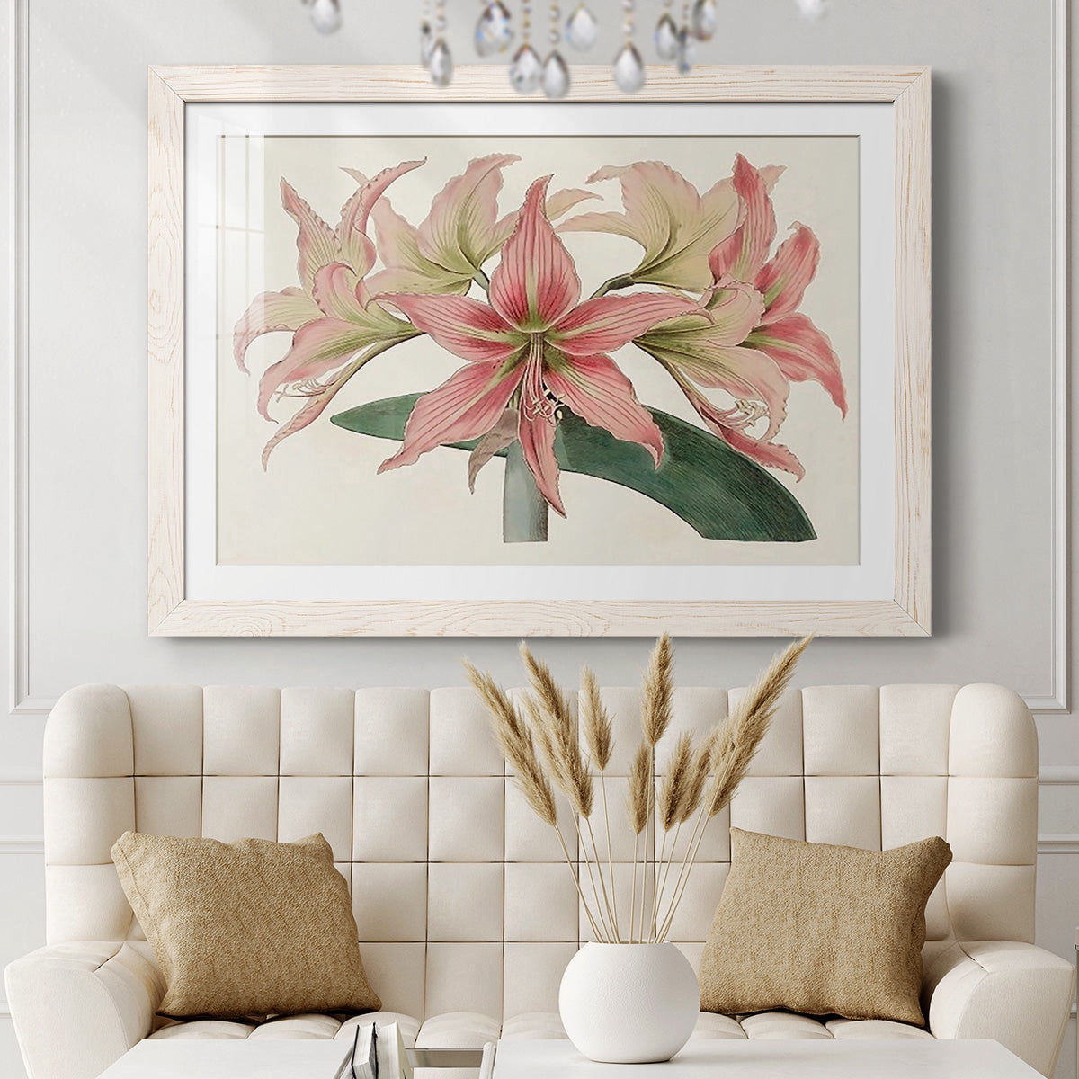 Amaryllis Varietals I-Premium Framed Print - Ready to Hang