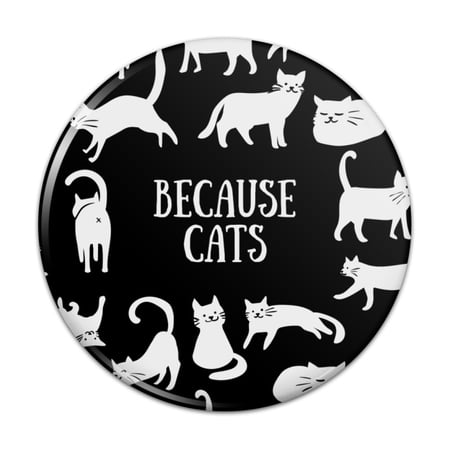 Because Cats Funny Kitties Lounging Around Pinback Button Pin
