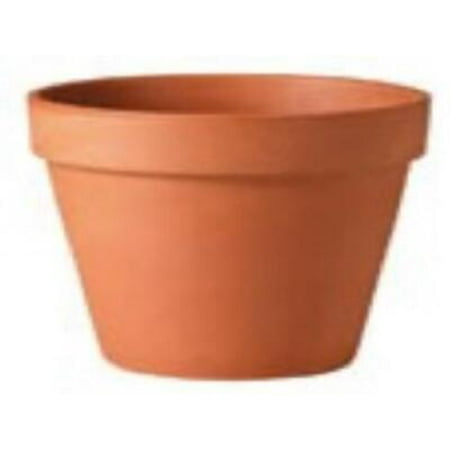Deroma 2.4 in. H X 2.8 in. W X 2.3 in. D X 2.8 in. D Clay Traditional Planter Terracotta (Pack of 48)