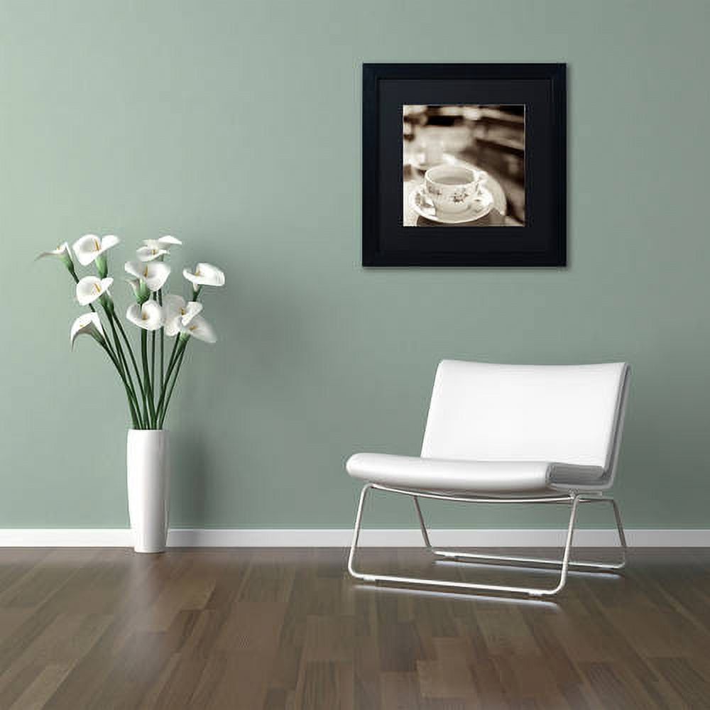 Trademark Fine Art "Jardin du Luxembourg II" Canvas Art by Alan Blaustein, Black Matte, Black Frame