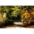 thumbnail image 3 of Hausenflock, Alan 18x13 Black Modern Framed Museum Art Print Titled - Autumn Pathway I, 3 of 5