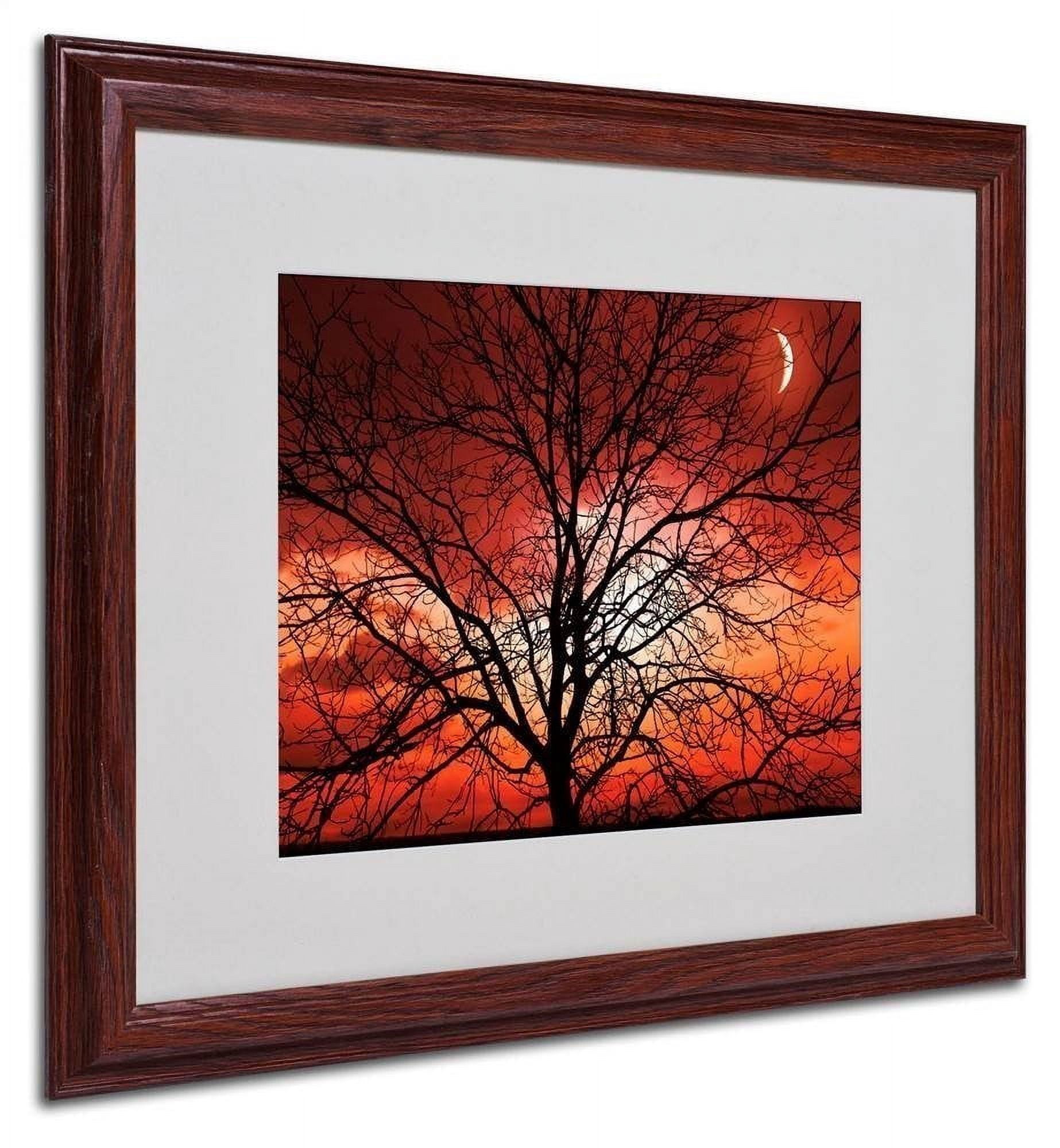 Trademark Fine Art "Big Bad Moon" Canvas Art by Philippe Sainte-Laudy, Wood Frame