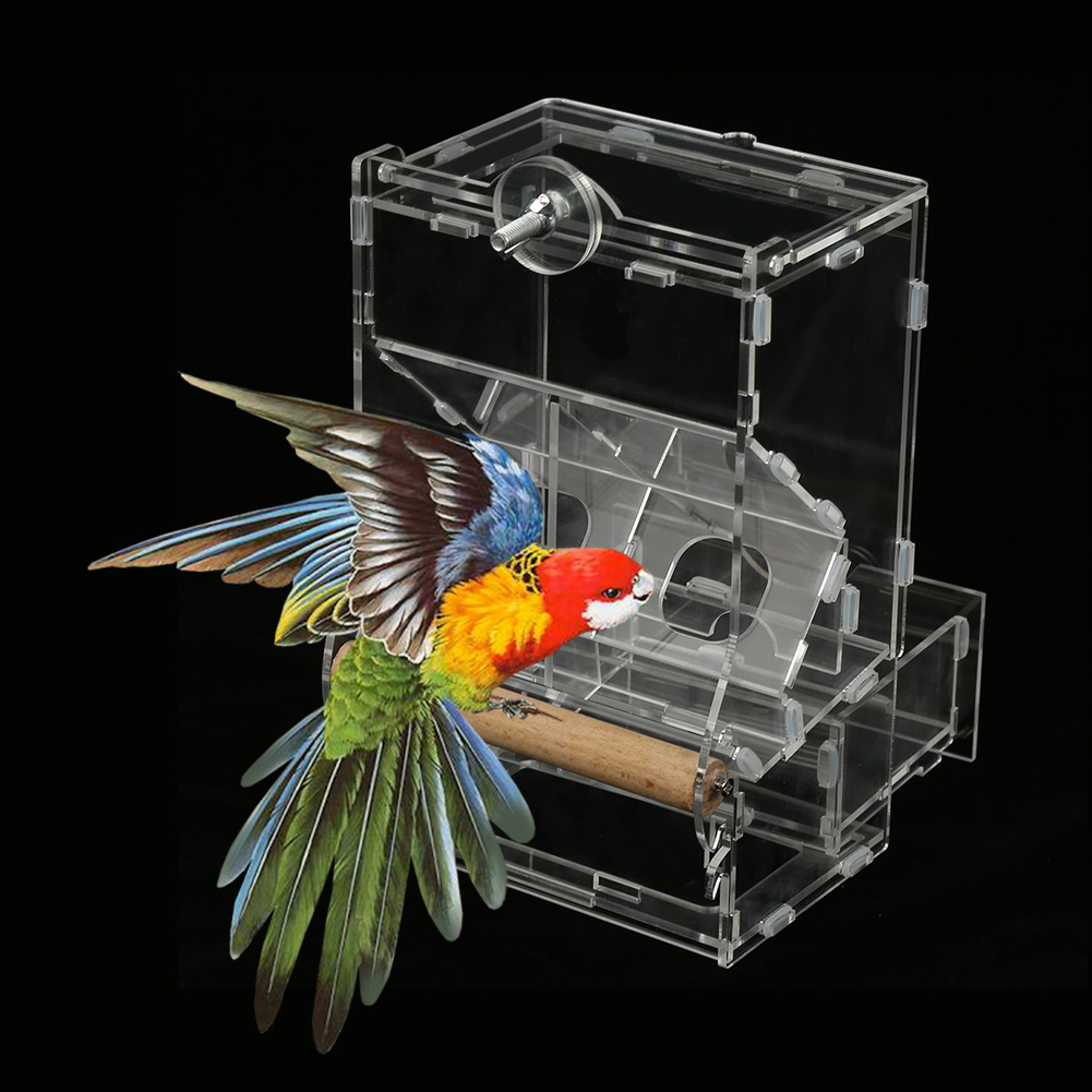 LYUMO 1Pc Acrylic Pet Parrots Birds Seeds Automatic Food Feeder Cage Toy Transparent ,Food
