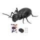 thumbnail image 2 of Juguetes para insectos, juguete para hormigas, control remoto por infrarrojos, insectos falsos, hormigas diseñadas para precisión, 2 of 14