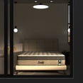 thumbnail image 2 of Colchón corrector Evolution Matrimonial Sealy Línea Bleden Benno + Box Matrimonial + Complemento + 2 Almohadas, 2 of 6
