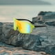 thumbnail image 5 of Gafas de Ciclismo Deportivas, Lentes Hd Ligeras, Protección a Prueba de Viento para Exteriores, Ajuste Cómodo y Antideslizante, para Correr, Ciclismo y Senderismo, Diseño Unisex, Rendimiento Duradero, 5 of 6