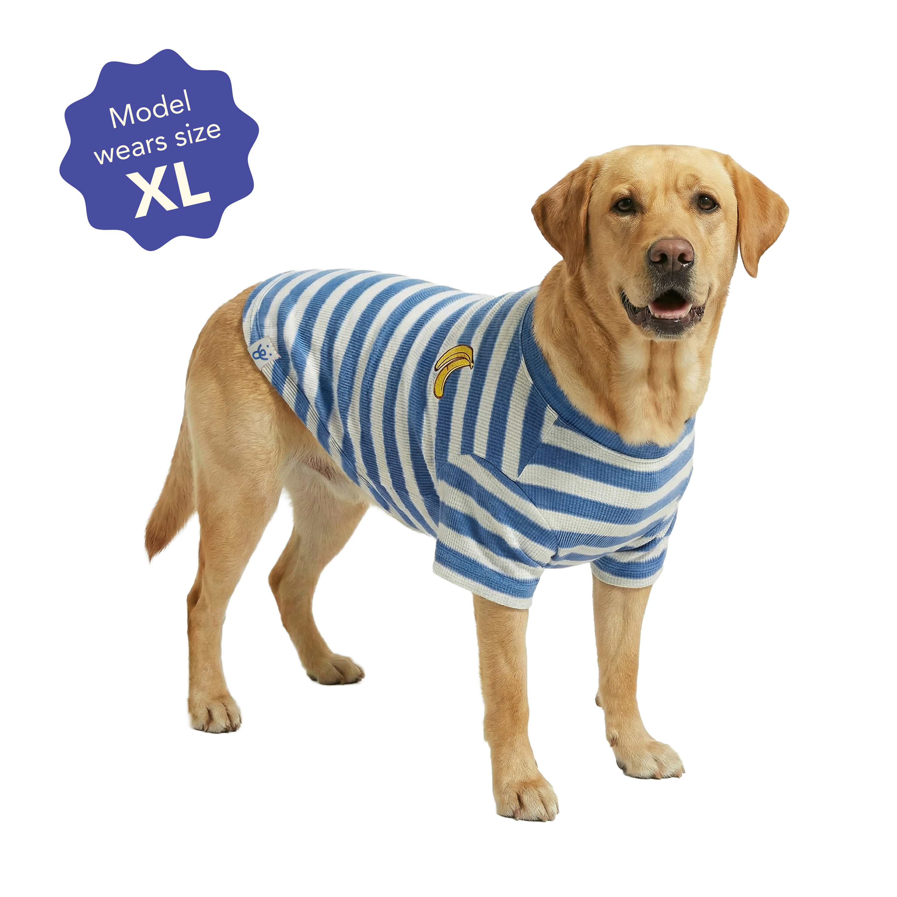 Oodles Blue Striped Banana Knit Spring Dog T-Shirt, Extra Large