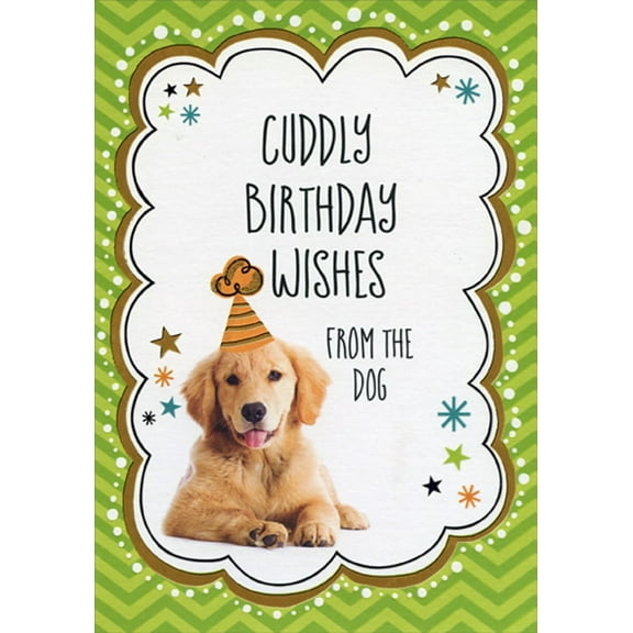 Designer Greetings Cuddly Wishes Golden Retreiver in Hat Birthday Card from the Dog