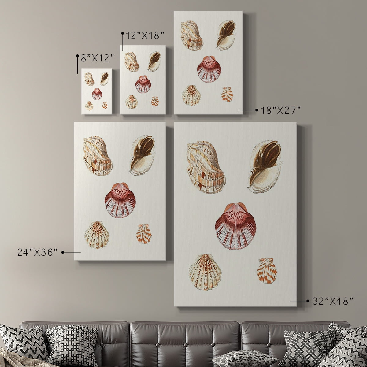 Pastel Knorr Shells V Premium Gallery Wrapped Canvas - Ready to Hang
