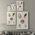 thumbnail image 4 of Pastel Knorr Shells V Premium Gallery Wrapped Canvas - Ready to Hang, 4 of 9