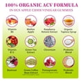 thumbnail image 4 of Gomitas de vinagre de sidra de manzana, gomitas Keto ACV para mujeres y hombres, suplemento de vinagre de sidra de manzana con extracto de té verde, probiótico para limpieza desintoxicante, metabolism, 4 of 5