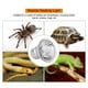 thumbnail image 1 of UVA UVB Full Spectrum Sol Lámpara Reptil, Tomar el Sol Calentador Bombilla Punto lámpara para Anfibios Camaleón Lagarto Tortuga Gecko 110V-120V (25W) EOTVIA NO, 1 of 3