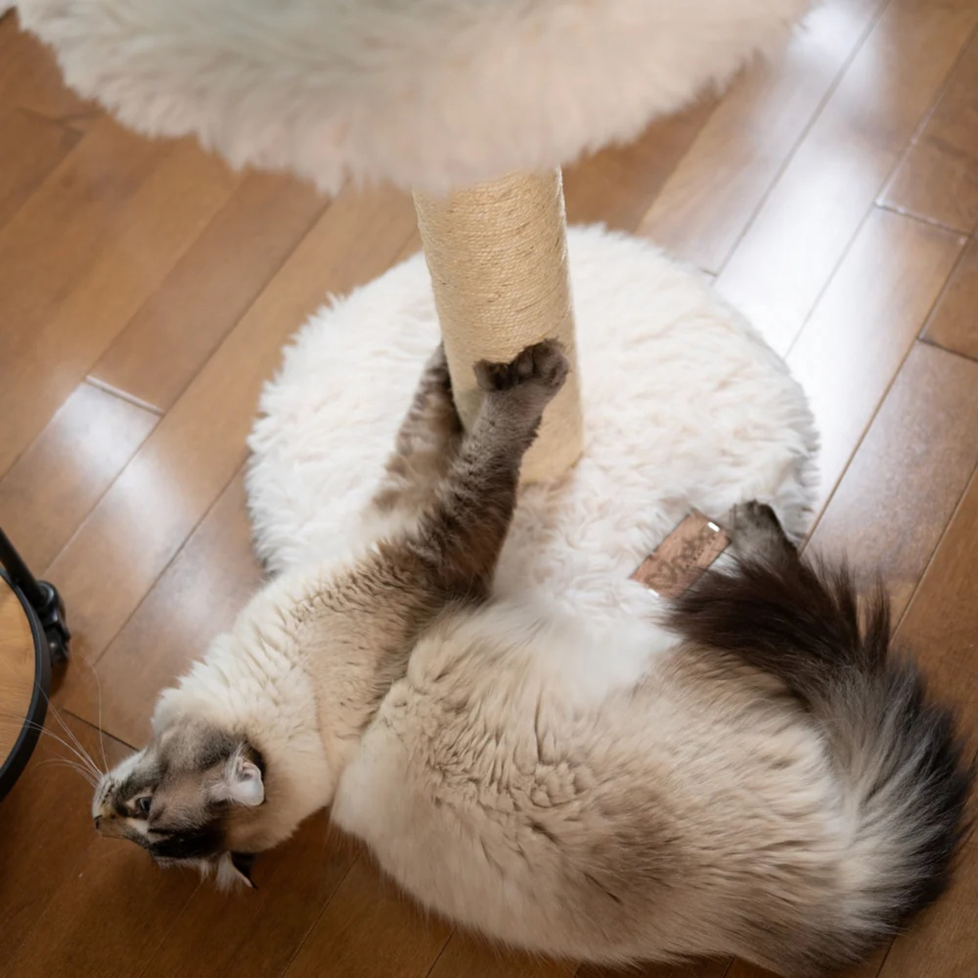 Noba: Classic Cat Tree - Antique White - 1-Level Round Perch, Cozy Faux Fur, Scratchable Rope Post, Climb-Play-Sleep, Animal Pet Lounge, 16 x 24"