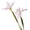 Pink, variant on bestolf Artificial Iris Flower 2 Heads Faux Silk Flower Bouquet Long Stem Fake Iris Flowers for Floral Arrangements Table Centerpiece Party Wedding Decor