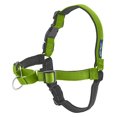 thumbnail image 1 of Arnés para perros PetSafe Easy Walk Deluxe sin tracción, color verde medio, 1 of 1