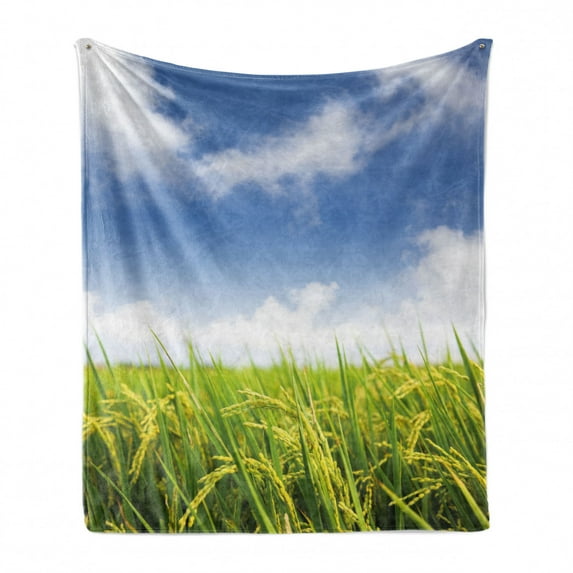 Plant Soft Flannel Fleece Throw Blanket, Cultivated Farm Paddy Rice Field Agriculture Food Eastern Countryside, Cozy Plush for Indoor and Outdoor Use, 60" x 80", Sky Blue Apple Green, by Ambesonne